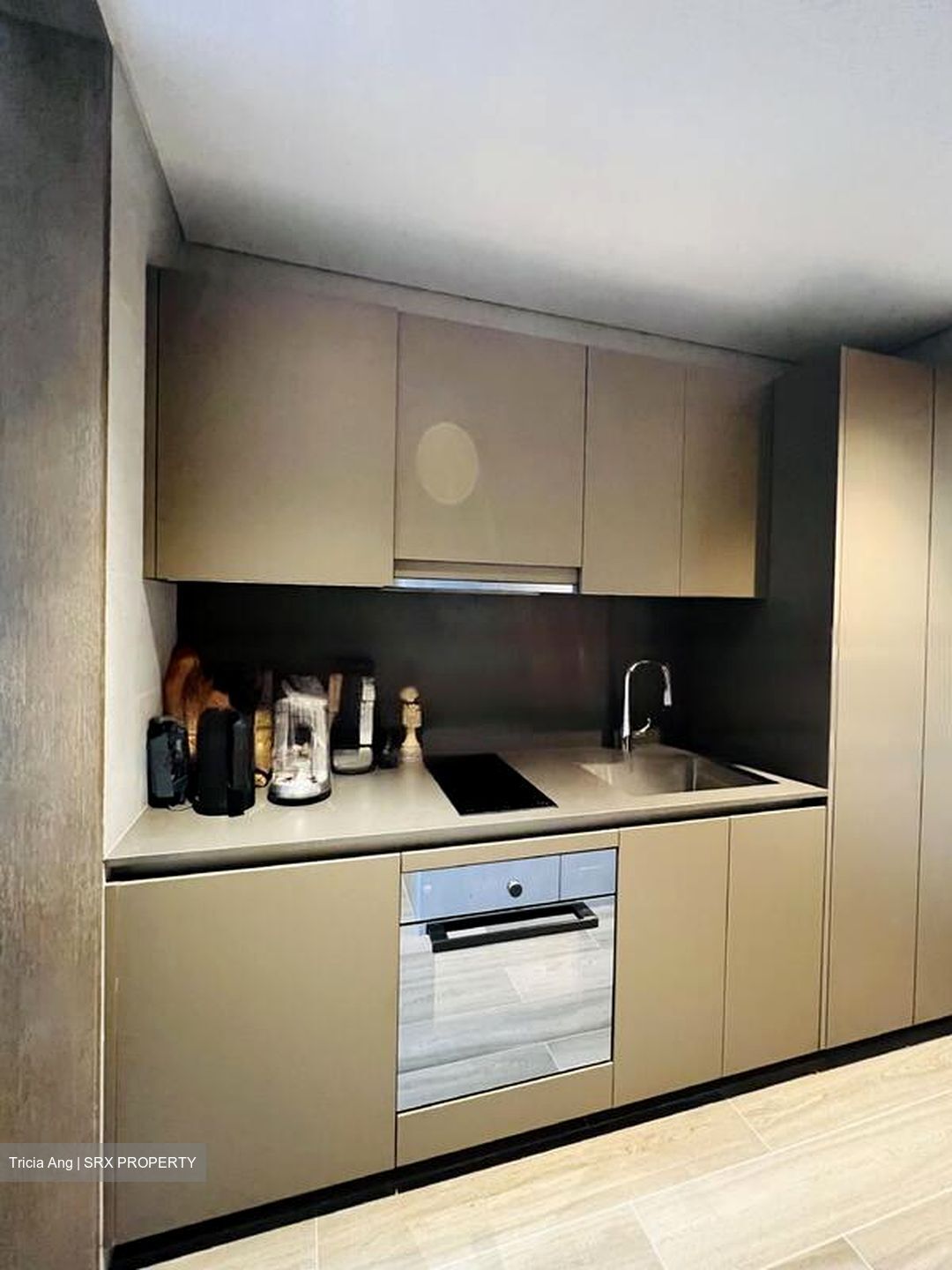 The Ritz-Carlton  (D9), Condominium #459403721